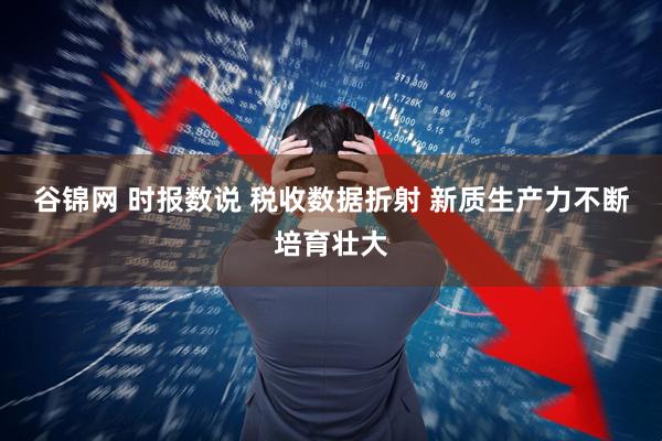 谷锦网 时报数说 税收数据折射 新质生产力不断培育壮大