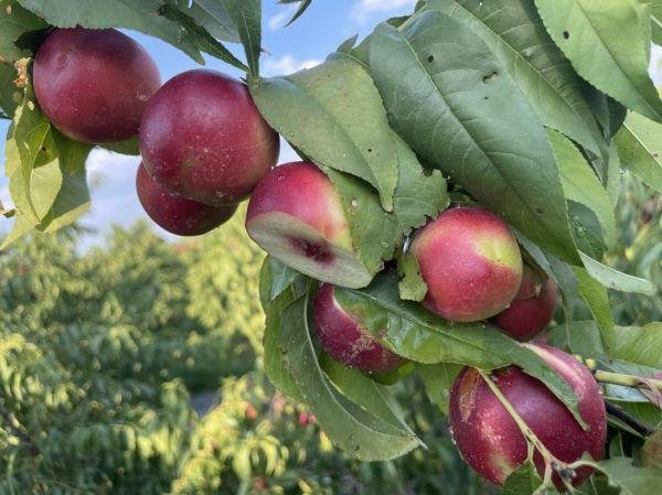 天源国际 复利量化：让财富实现倍增的长期投资利器